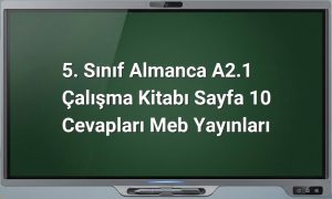 5. Sınıf Almanca Sayfa 10 Cevapları