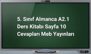 5. Sınıf Almanca A2.1 Sayfa 10 Cevapları