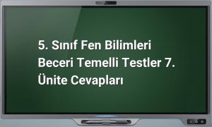 5. Sınıf Fen Bilimleri Test Cevapları