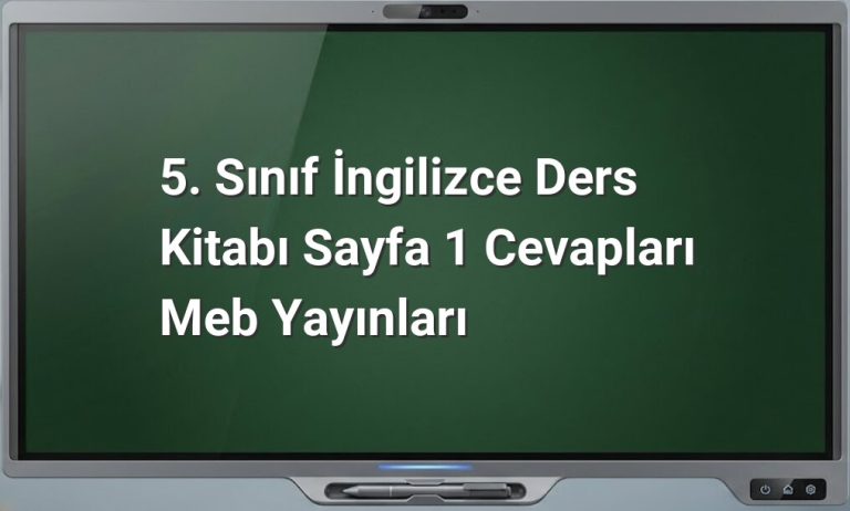 5. Sınıf İngilizce cevapları
