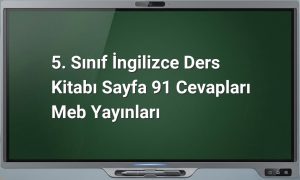 5. Sınıf İngilizce cevapları