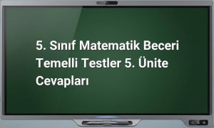 5. Sınıf Matematik Test Cevapları