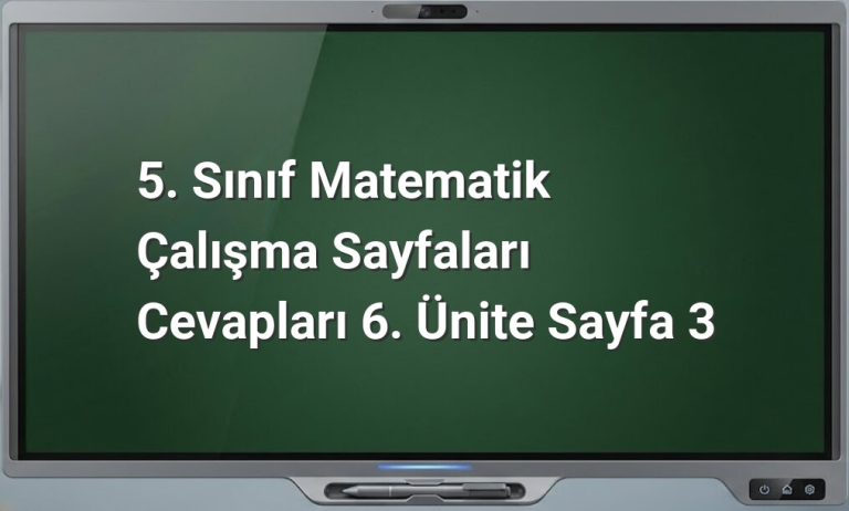 5. sınıf matematik alan hesaplama