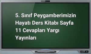 Peygamberimizin Hayatı Sayfa 11 Cevapları