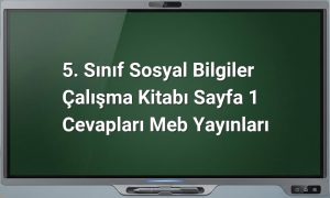 5. Sınıf Sosyal Bilgiler Sayfa 1 Cevapları
