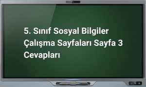 5. Sınıf Sosyal Bilgiler Sayfa 3 Cevapları