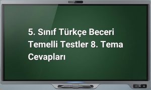 5. Sınıf Türkçe test cevapları