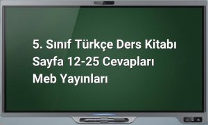 5. Sınıf Türkçe Cevapları