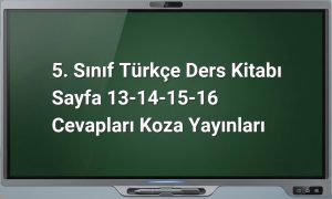 5. Sınıf Türkçe Dünya Çocukları Metni