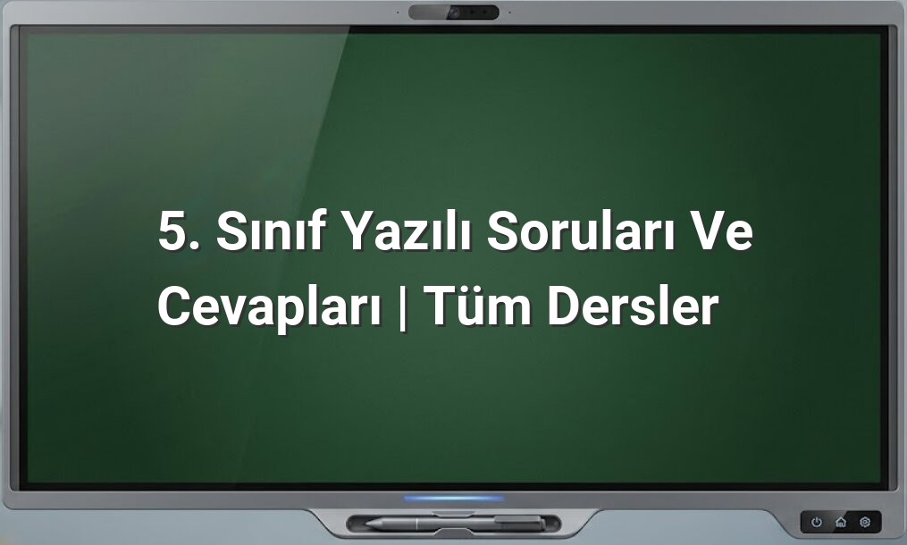 5. Sınıf Yazılı Soruları