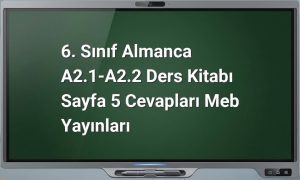 6. Sınıf Almanca Sayfa 5 Cevapları