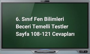 6. Sınıf Fen Bilimleri Cevapları
