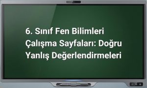 6. Sınıf Fen Bilimleri Doğru Yanlış