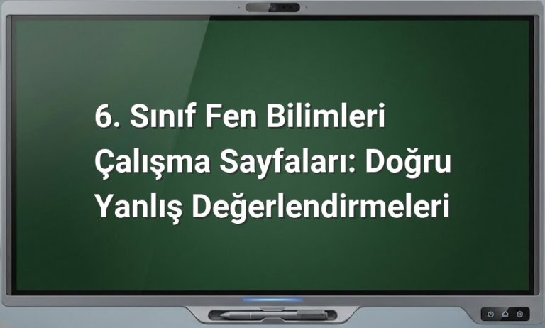 6. Sınıf Fen Bilimleri Doğru Yanlış
