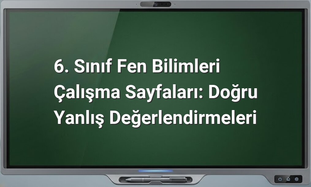 6. Sınıf Fen Bilimleri Doğru Yanlış