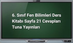 bitki ve hayvan hücreleri