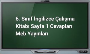 6. Sınıf İngilizce çalışma kitabı cevapları
