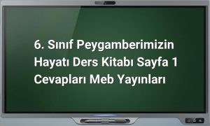 Peygamberimizin hayatı 6. sınıf