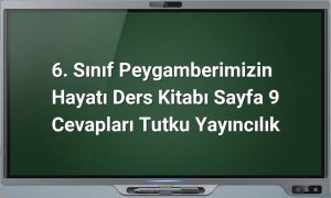 Peygamberimizin Hayatı Sayfa 9 Cevapları