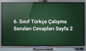 6. Sınıf Türkçe çalışma soruları cevapları
