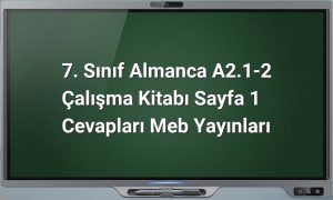 7. Sınıf Almanca çalışma kitabı cevapları
