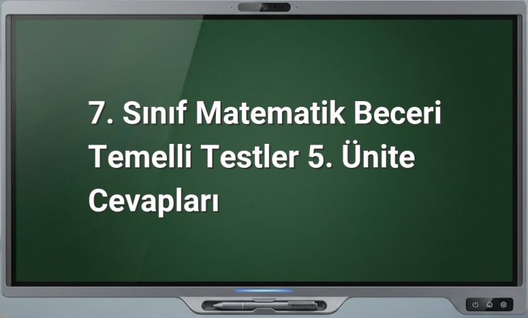7. Sınıf Matematik Test Cevapları