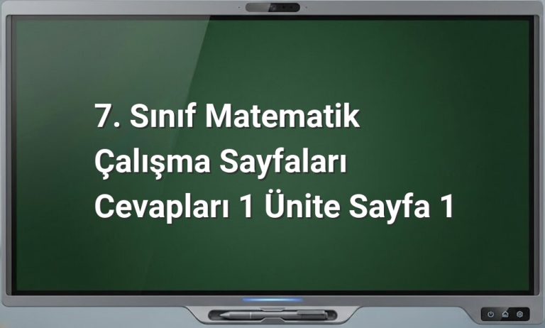 7. Sınıf matematik çalışma sayfası