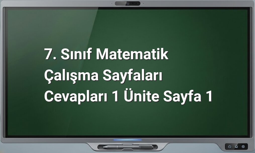 7. Sınıf matematik çalışma sayfası