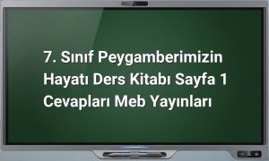 Peygamberimizin Hayatı 7. Sınıf Sayfa 1