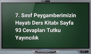 Peygamberimizin hayatı sayfa 93 cevapları