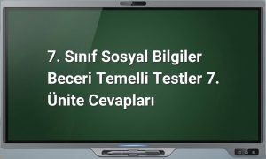 7. Sınıf Sosyal Bilgiler Test Cevapları
