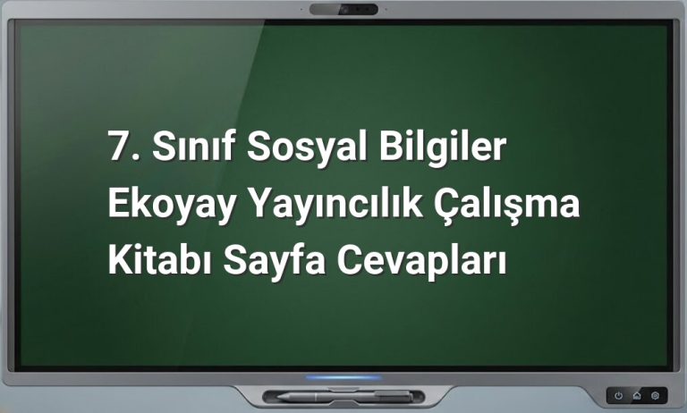 7. Sınıf Sosyal Bilgiler Cevapları