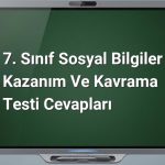 7. Sınıf Sosyal Bilgiler Kazanım ve Kavrama Testi Cevapları