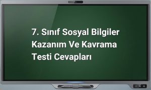 7. Sınıf Sosyal Bilgiler Test Cevapları