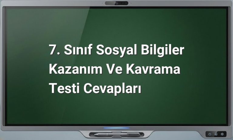 7. Sınıf Sosyal Bilgiler Test Cevapları