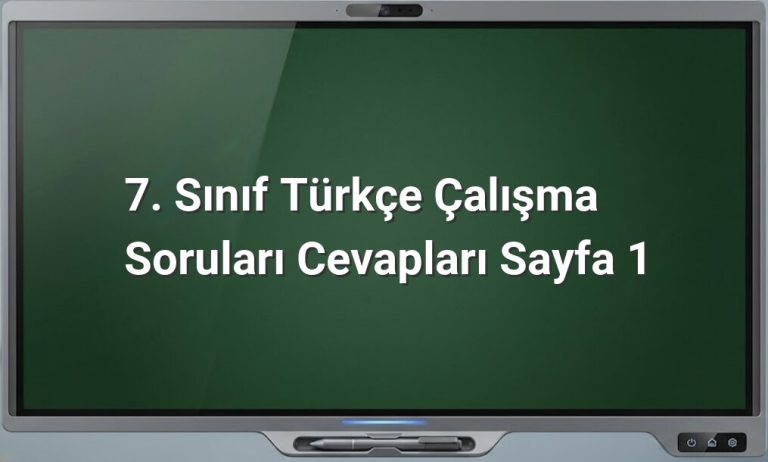 7. Sınıf Türkçe çalışma soruları