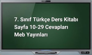 Martı Jonathan Livingston metni cevapları