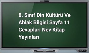 Kader, Kaza, Tevekkül anlamları