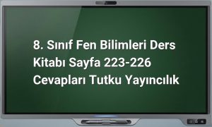 8. sınıf fen bilimleri cevapları