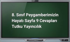 Peygamberimizin Hayatı Sayfa 9 Cevapları