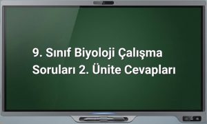 9. Sınıf Biyoloji 2. Ünite Cevapları