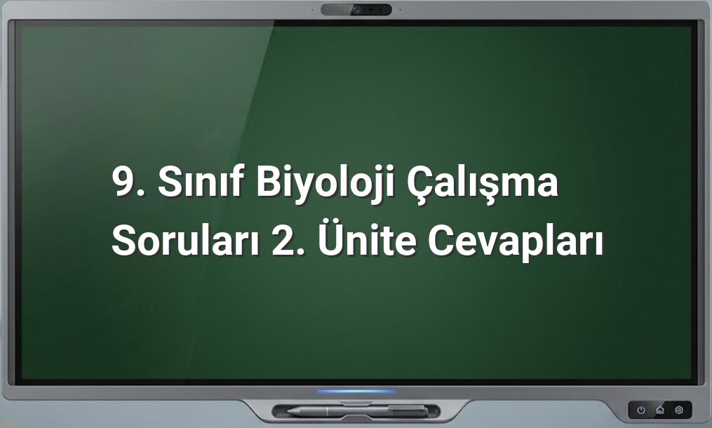 9. Sınıf Biyoloji 2. Ünite Cevapları
