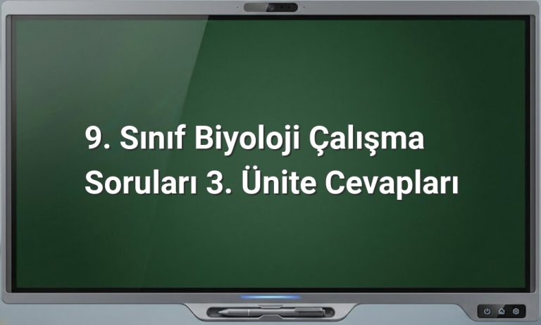 9. Sınıf Biyoloji Sınıflandırma Soruları