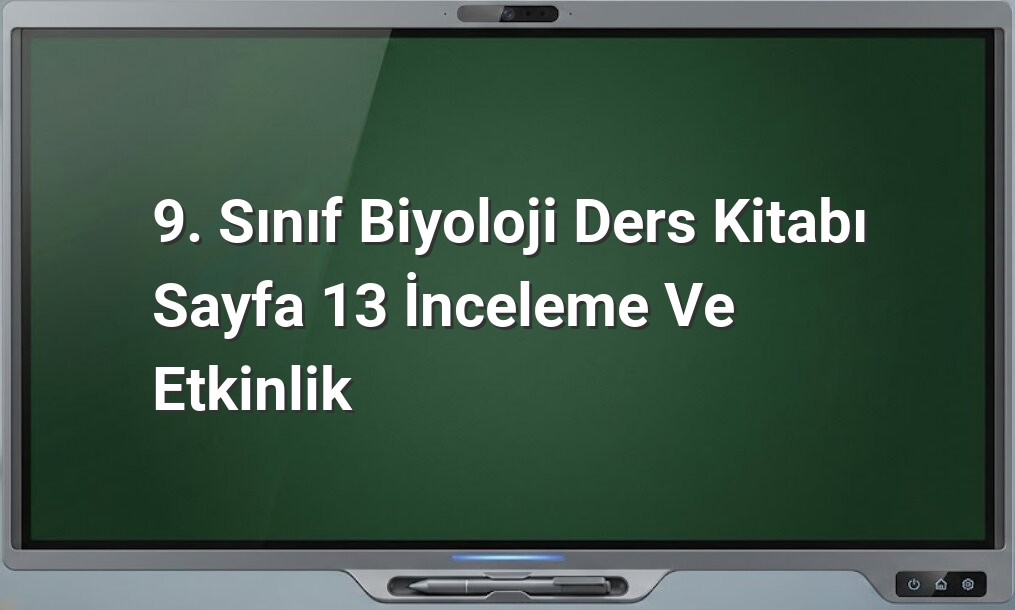 9. Sınıf Biyoloji Sayfa 13