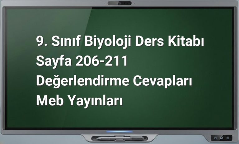 Canlılar Dünyası değerlendirme cevapları