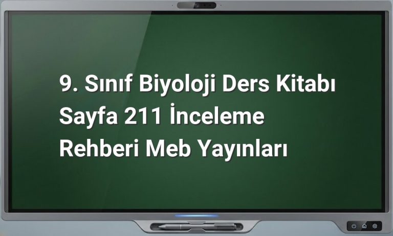9. Sınıf Biyoloji Sayfa 211 İnceleme