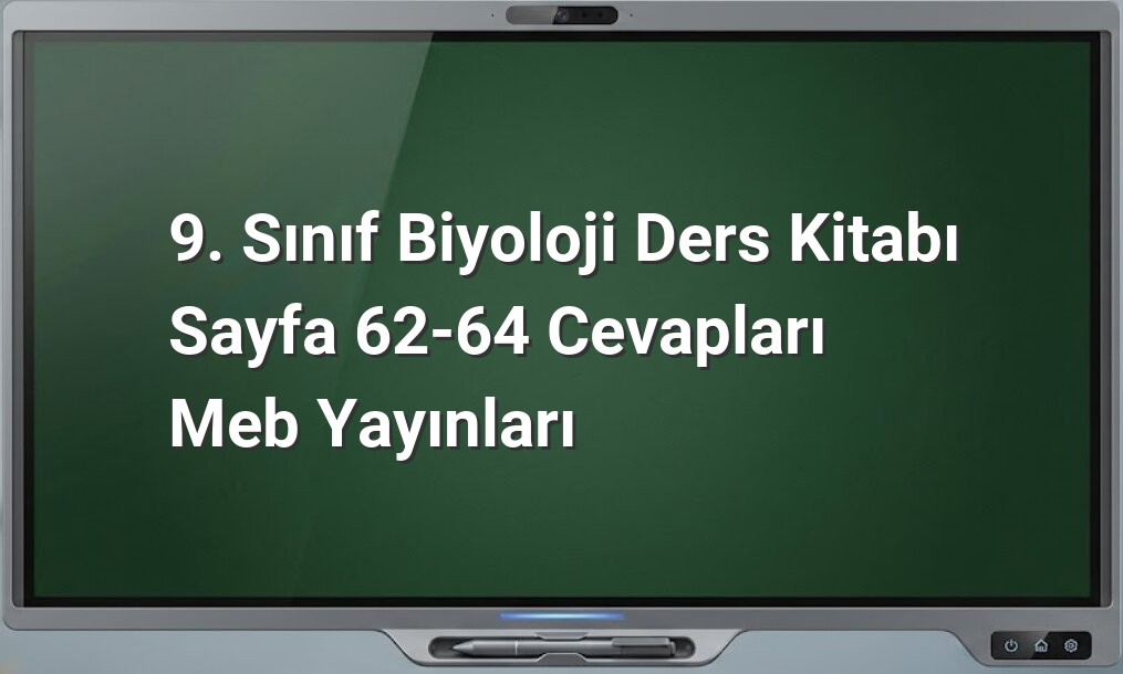 9. Sınıf Biyoloji Yağlar Cevapları