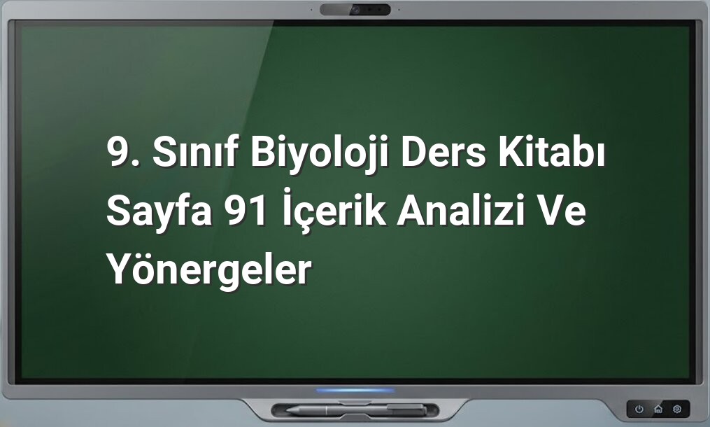 9. Sınıf Biyoloji Sayfa 91 Cevapları
