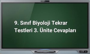 9. Sınıf Biyoloji Tekrar Testleri