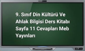 9. Sınıf Din Kültürü ve Ahlak Bilgisi Cevapları